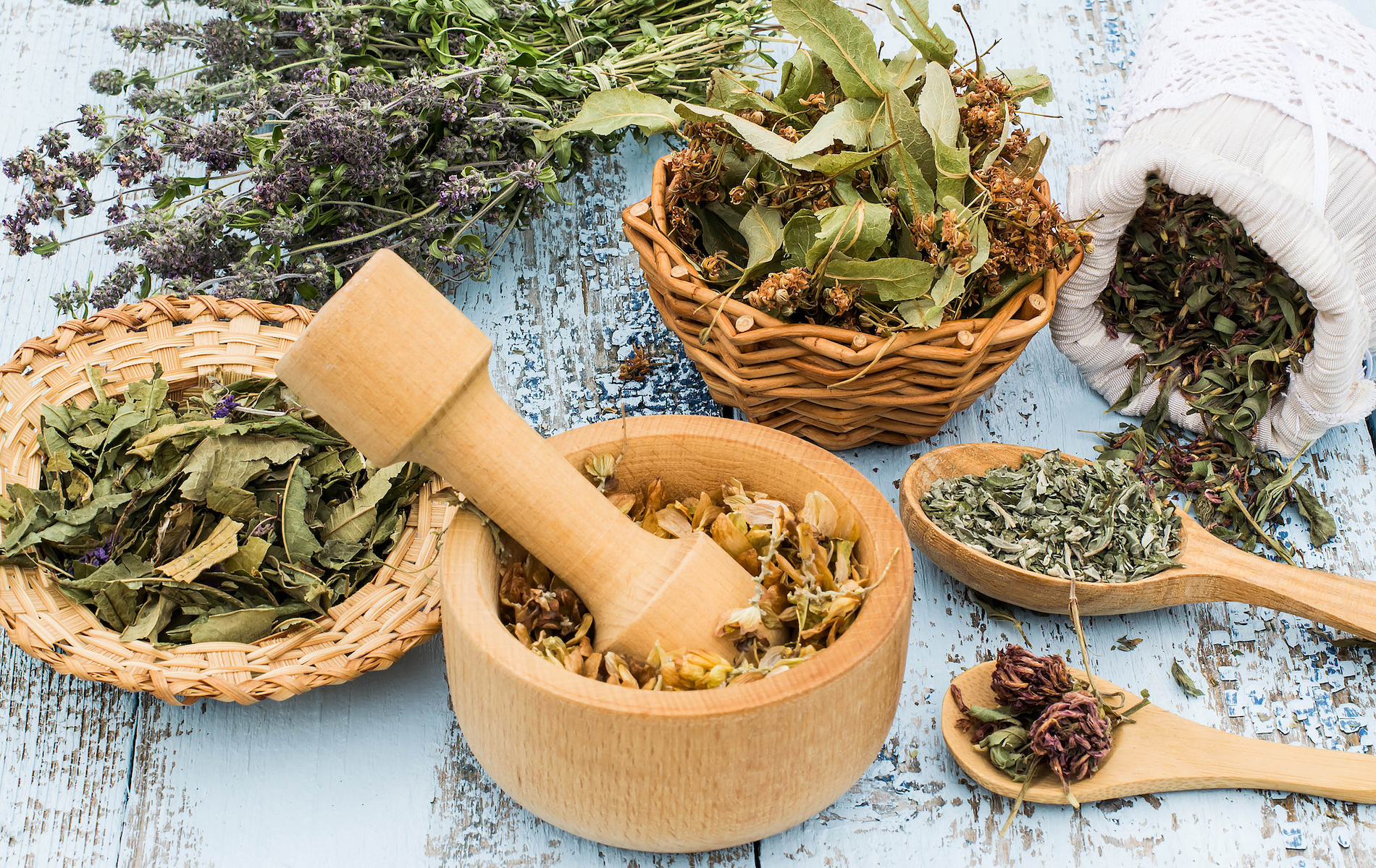 pharmacie-israel-alexandre-phytotherapie